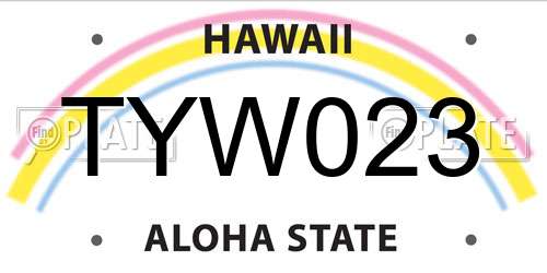 TYW023 Hawaii License Plate