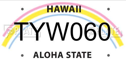 TYW060 Hawaii License Plate