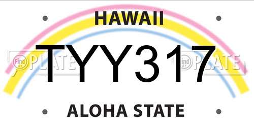 TYY317 Hawaii License Plate