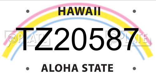 TZ20587 Hawaii License Plate