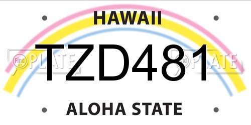 TZD481 Hawaii License Plate