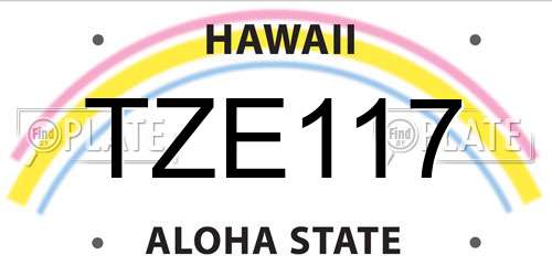 TZE117 Hawaii License Plate