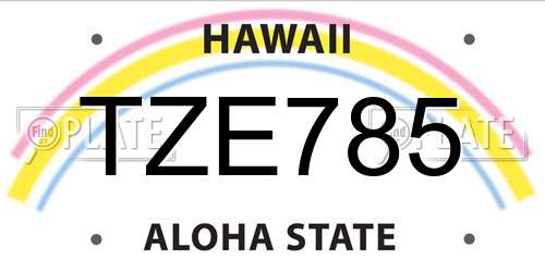 TZE785 Hawaii License Plate