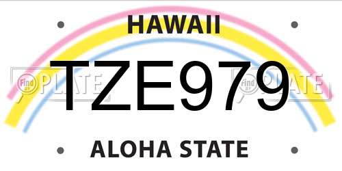 TZE979 Hawaii License Plate