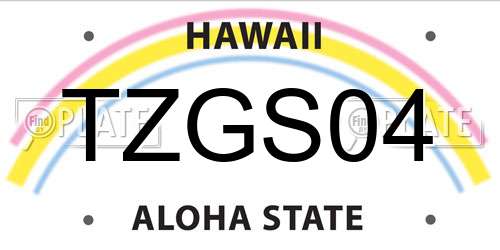 TZGS04 Hawaii License Plate