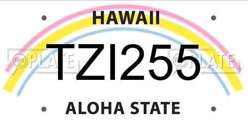 TZI255 Hawaii License Plate