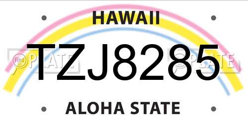 TZJ8285 Hawaii License Plate