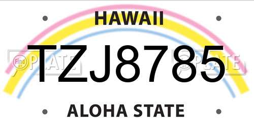 TZJ8785 Hawaii License Plate