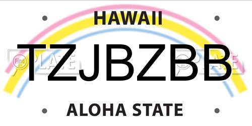 TZJBZBB Hawaii License Plate