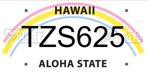 TZS625 Hawaii License Plate