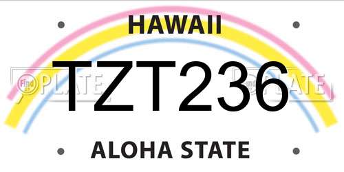 TZT236 Hawaii License Plate