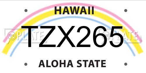 TZX265 Hawaii License Plate