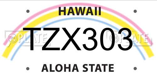 TZX303 Hawaii License Plate