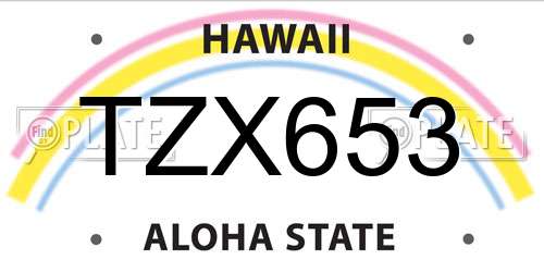 TZX653 Hawaii License Plate