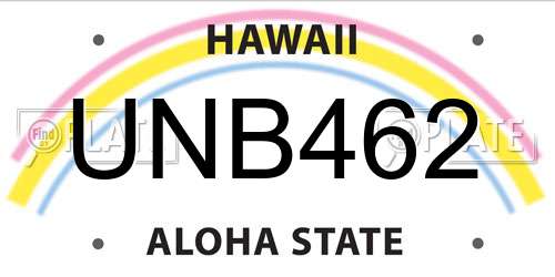 UNB462 Hawaii License Plate