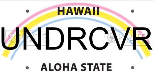 UNDRCVR Hawaii License Plate