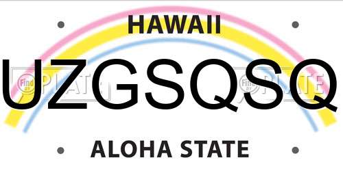 UZGSQSQ Hawaii License Plate