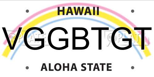 VGGBTGT Hawaii License Plate