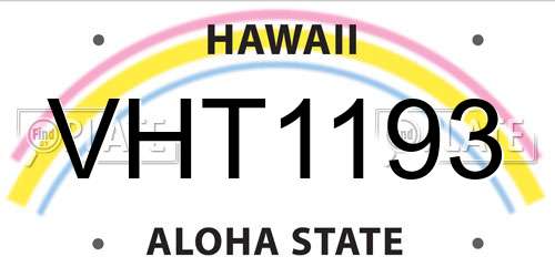 VHT1193 Hawaii License Plate