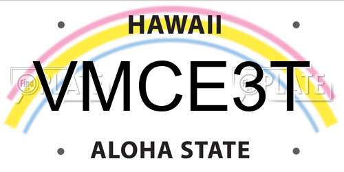 VMCE3T Hawaii License Plate