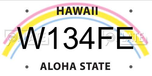 W134FE Hawaii License Plate
