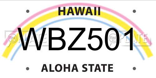 WBZ501 Hawaii License Plate