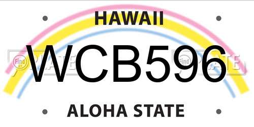 WCB596 Hawaii License Plate