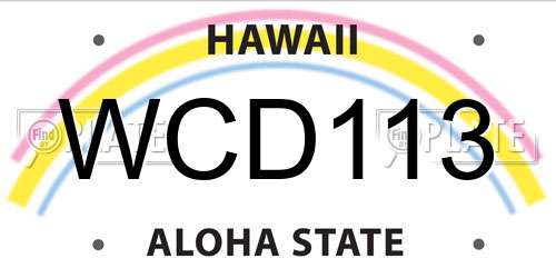 WCD113 Hawaii License Plate