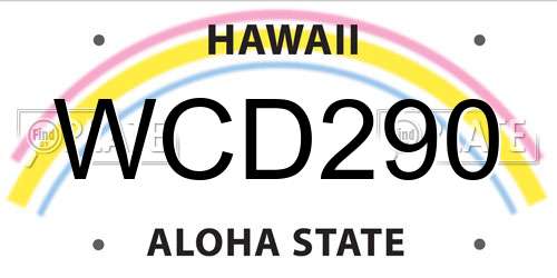 WCD290 Hawaii License Plate