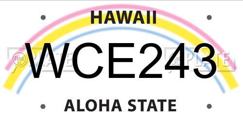 WCE243 Hawaii License Plate
