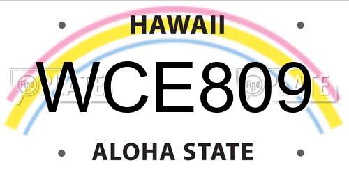 WCE809 Hawaii License Plate