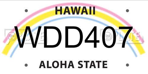 WDD407 Hawaii License Plate