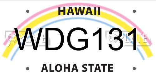 WDG131 Hawaii License Plate