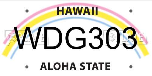 WDG303 Hawaii License Plate