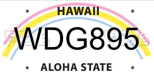 WDG895 Hawaii License Plate