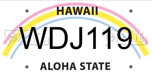 WDJ119 Hawaii License Plate