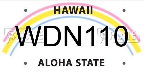 WDN110 Hawaii License Plate