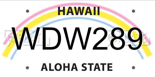 WDW289 Hawaii License Plate
