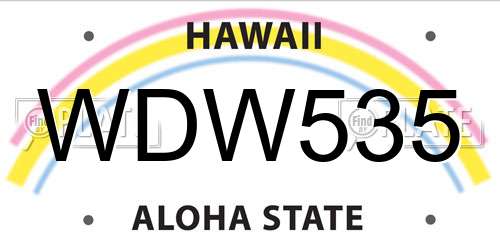 WDW535 Hawaii License Plate