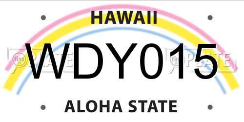 WDY015 Hawaii License Plate