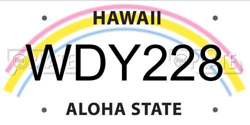 WDY228 Hawaii License Plate