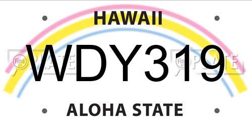 WDY319 Hawaii License Plate
