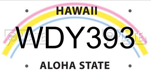 WDY393 Hawaii License Plate