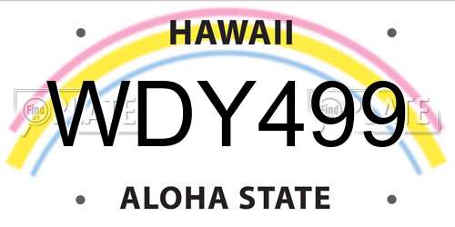 WDY499 Hawaii License Plate