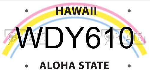 WDY610 Hawaii License Plate