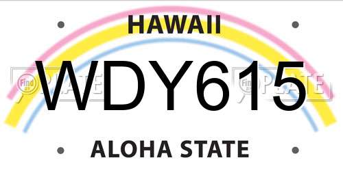 WDY615 Hawaii License Plate