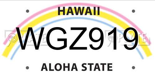 WGZ919 Hawaii License Plate