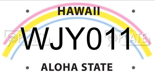 WJY011 Hawaii License Plate