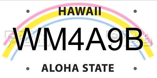 WM4A9B Hawaii License Plate