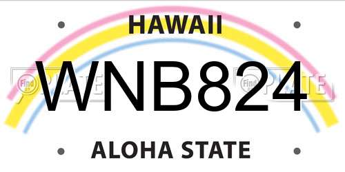 WNB824 Hawaii License Plate